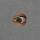 Illustration for article titled Peeping Toms Run Risk of Being Charged With Child Pornography